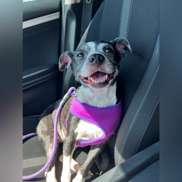 Meet your Posher, Healy - Picture 10 of 12